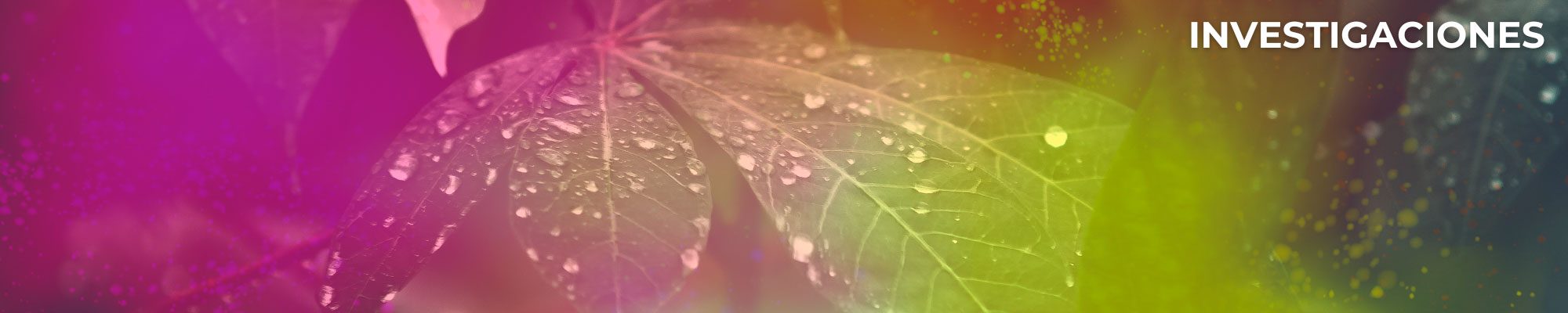 Investigaciones - Sociedad de Estudios de Médiums y Psíquicos